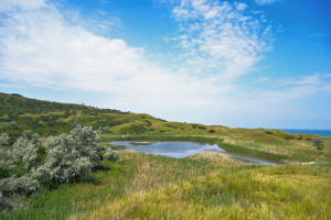 Таманская Швейцария Таманская Швейцария
